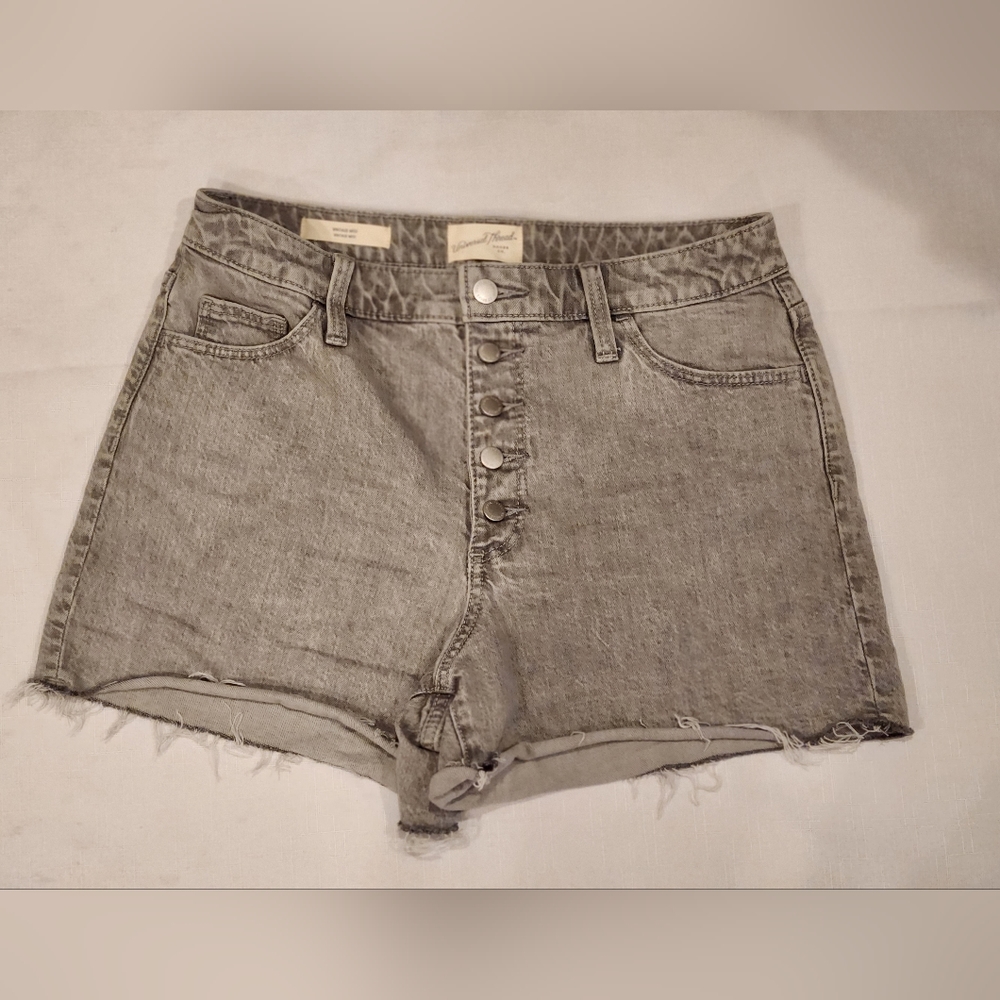 Universal Thread Denim Shorts (Vintage MIDI)
